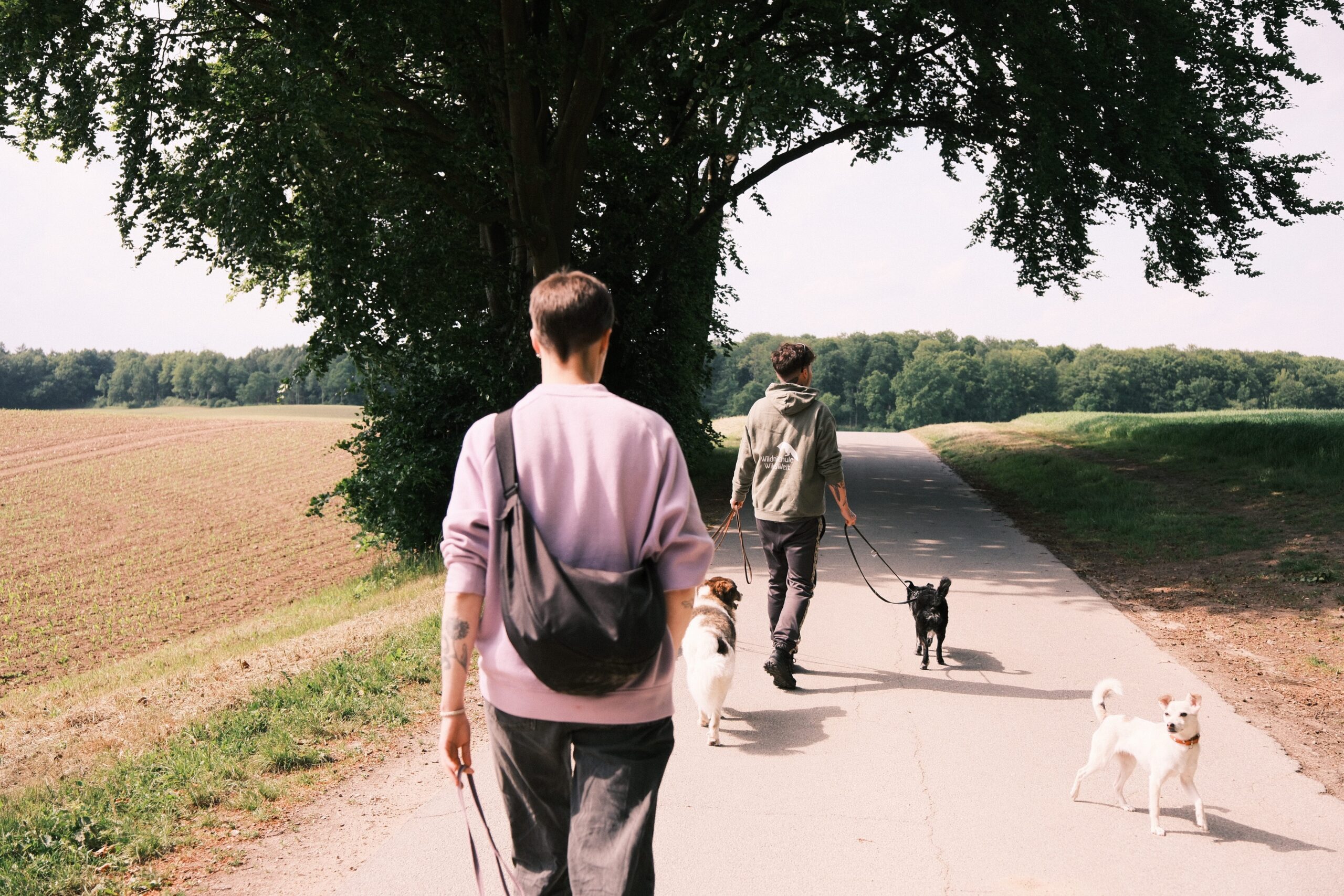 Alex und Eli beim Dogwalking und Gassiservice in Kiel