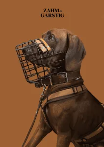 Maulkorbberatung Kiel Ridgeback