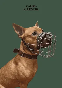 Bullterrier Maulkorbberatung Kiel