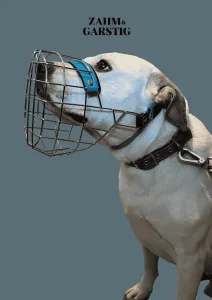 Staff Maulkorbberatung Kiel