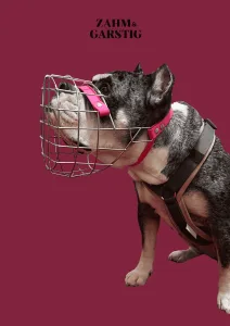 Bulli Maulkorbberatung Kiel