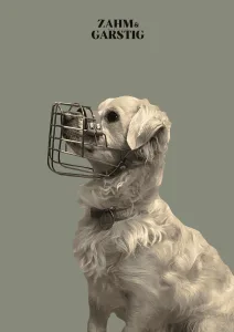 Maulkorbberatung Mischlingshund Kiel