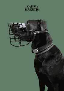 Labrador Maulkorbberatung Kiel