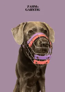 Maulkorbberatung Fressschutz Kiel