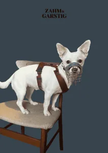 Chihuahua Maulkorbberatung Kiel