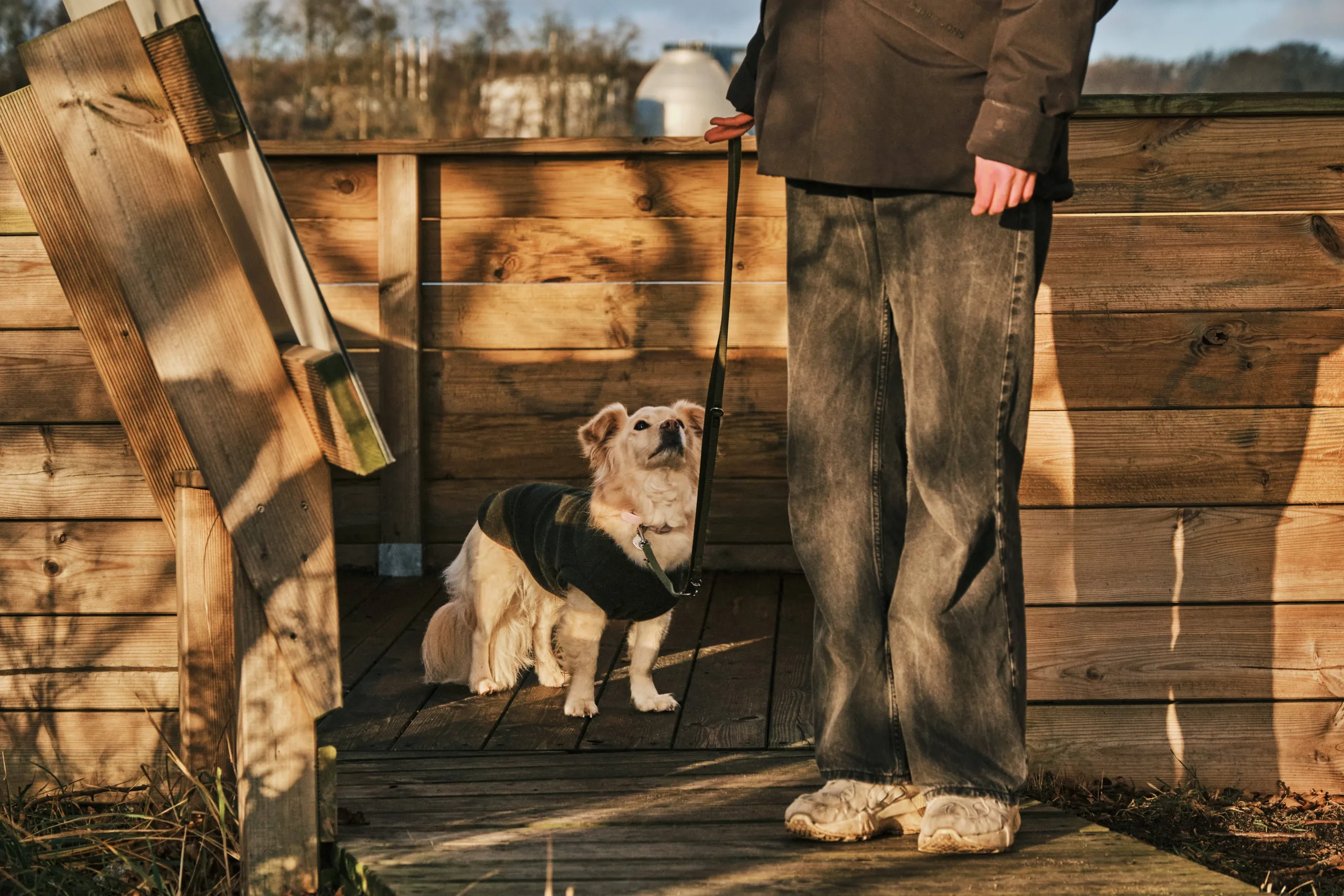 Hundetraining in Kiel