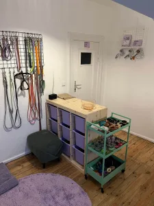 Maulkorbberatung in Kiel