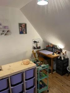 Maulkorb kaufen in Kiel